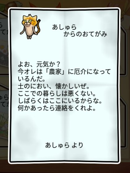 野良ネコなめこ しぶとさ1