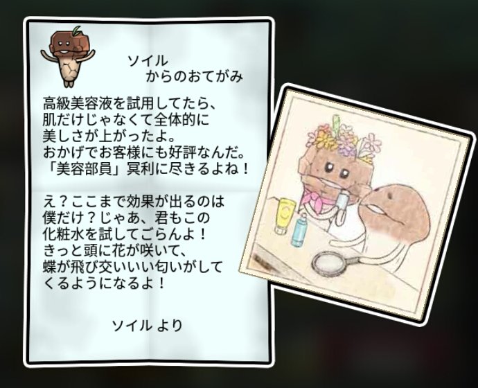 赤土なめこ かしこさ3
