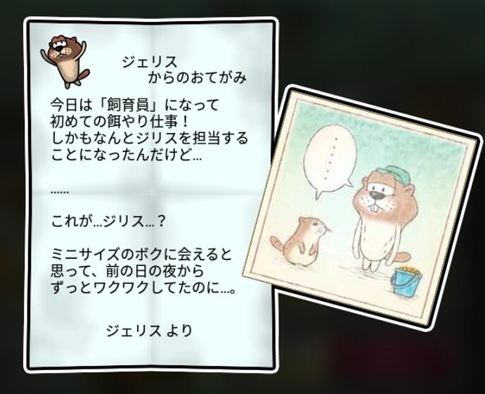 ジリスなめこ かしこさ3