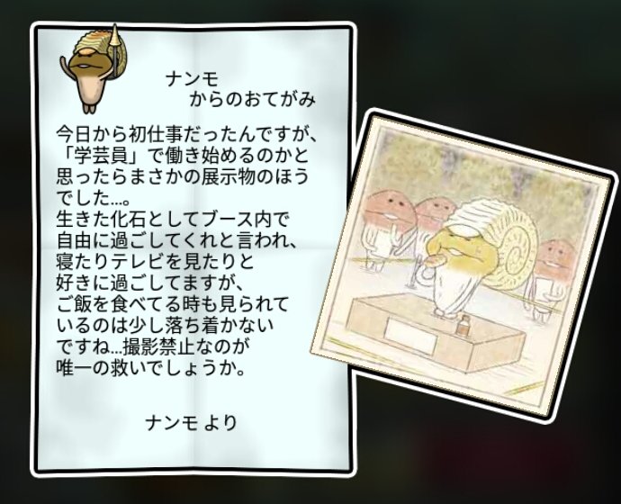 アンモナメコ かしこさ3