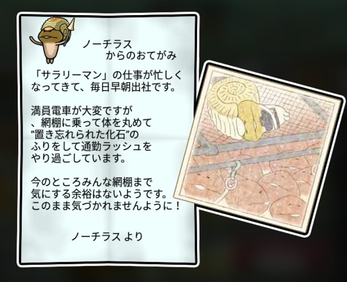 アンモナメコ しぶとさ3