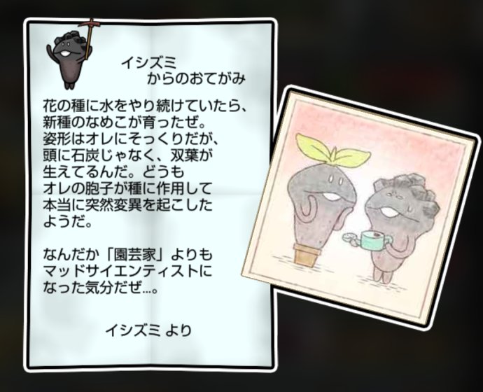 石炭なめこ かしこさ3