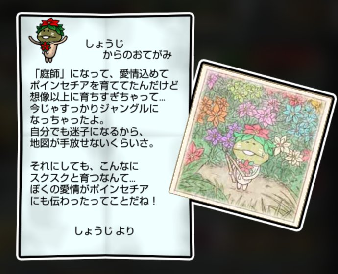 フンギセチア すばやさ3